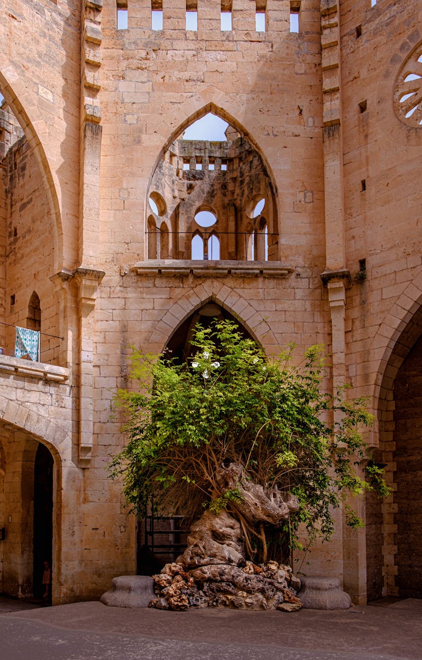 Amazing Experience Showcase